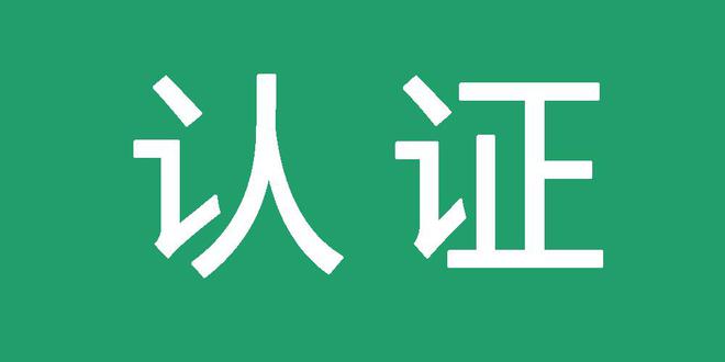 国内蜘蛛池排名